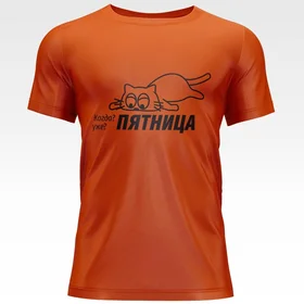 Прикольные футболки: Кот и пятница